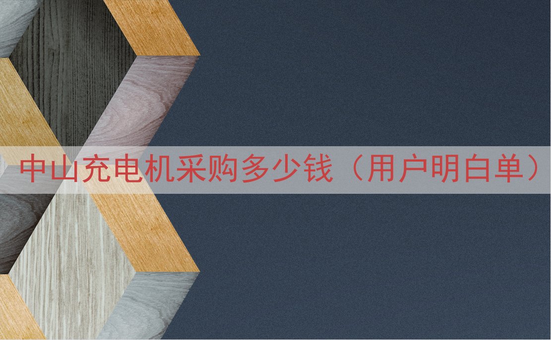 中山充电机采购多少钱（用户明白单）